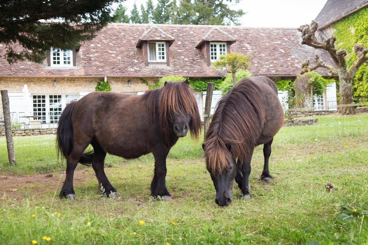 Hotel La Metairie - Teritoria- Les Collectionneurs Mauzac-et-Grand-Castang Bagian luar foto
